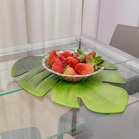 Apartment A8 Aloe Fiera Rho-milano-malpensa New With Completely Comfort Cesate